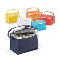 Bolsa Térmica 3 Litros Personalizada