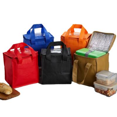 Bolsa Térmica 5 Litros em TNT Personalizada